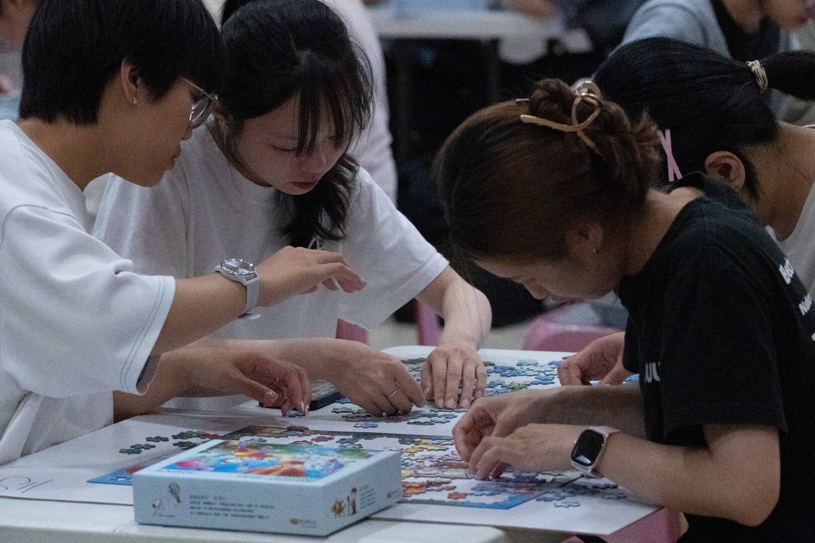 113學年度拼圖競賽決賽圖片